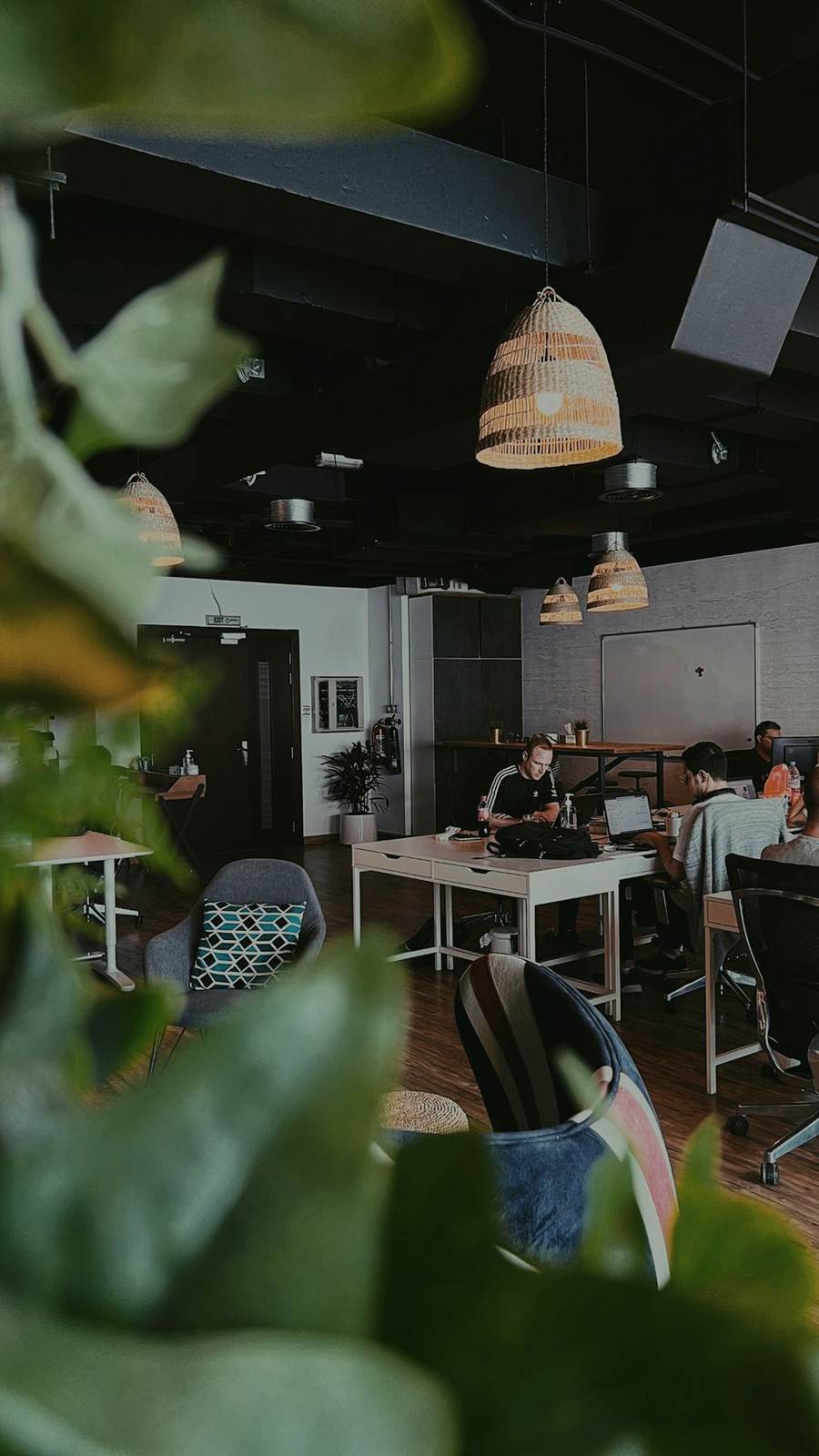 Bright office through a frame of plants