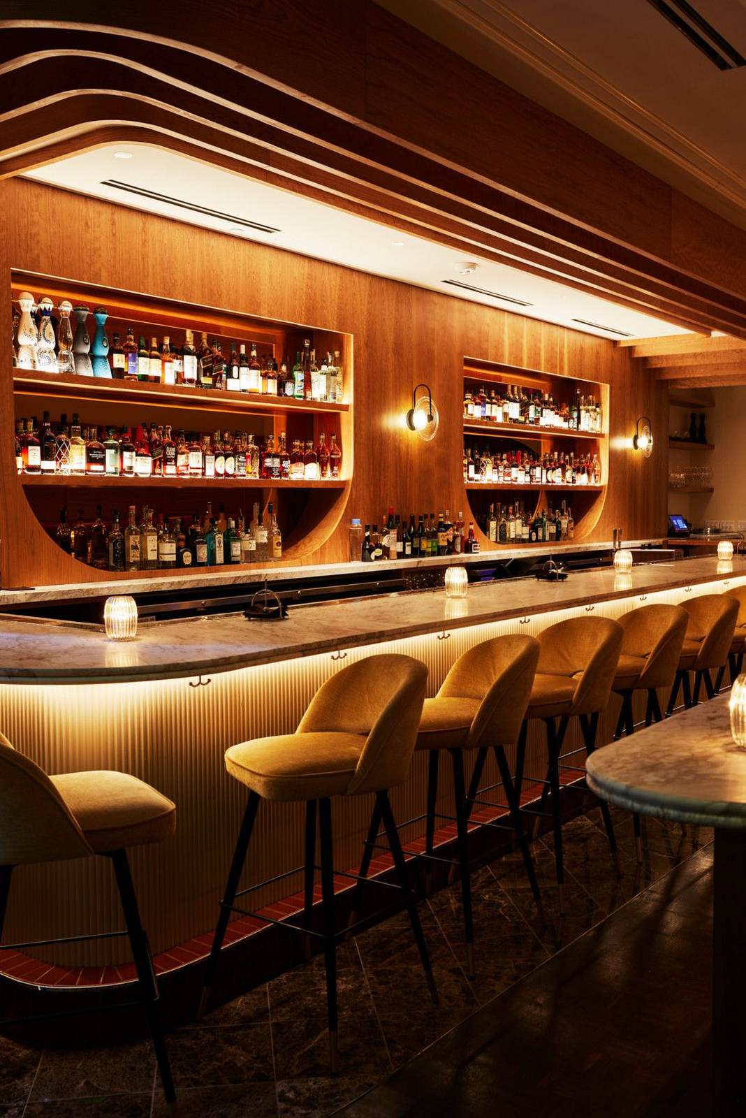 Omakase counter with a lit back bar